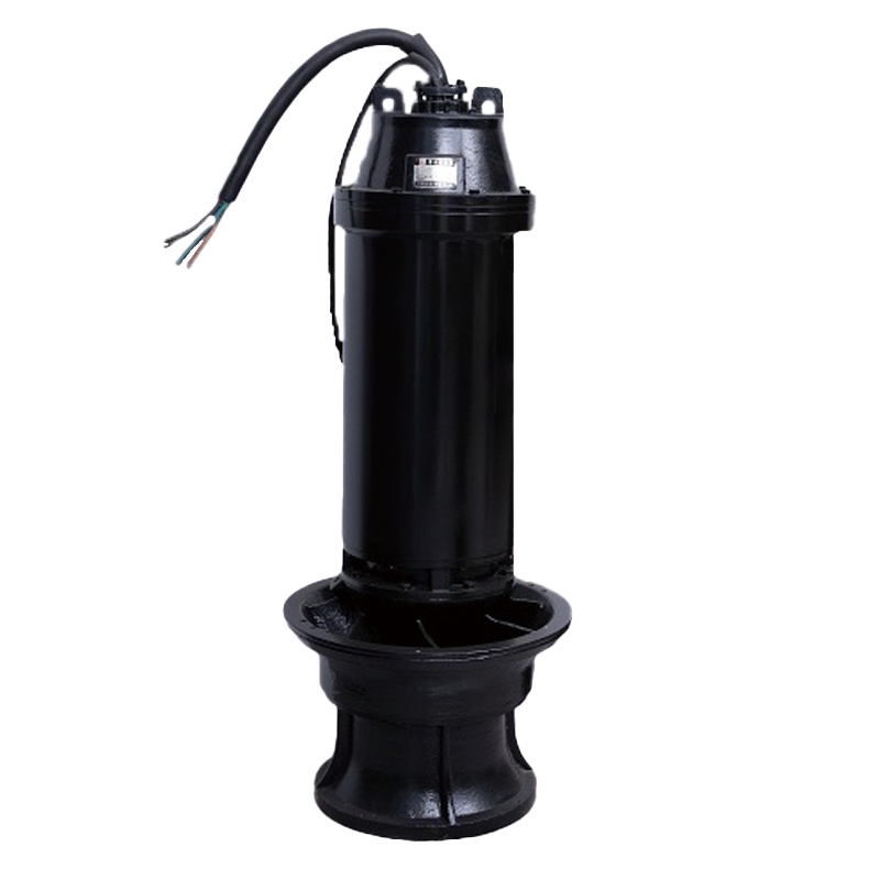 立式轴流泵型号说明